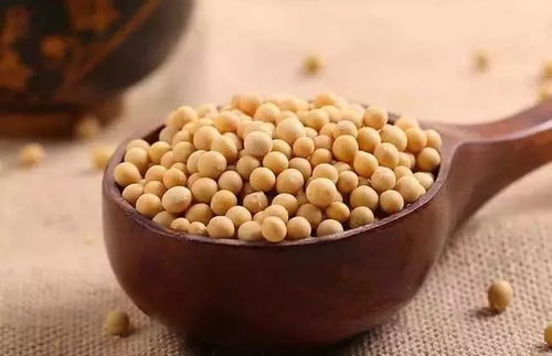 毒死婢的威力大不大呃？