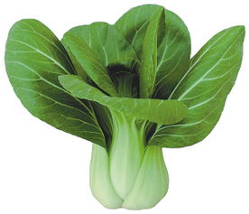 油菜炸角怎么办？农药的选择与使用