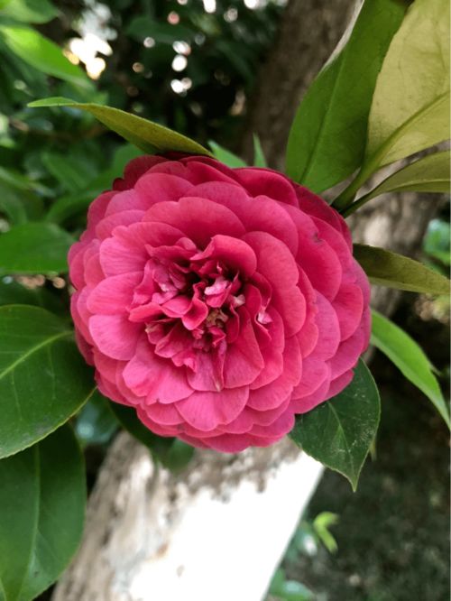 案例分享：别人的教训