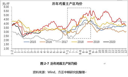 鸡蛋现货价格持续波动，市场供需关系影响价格调整