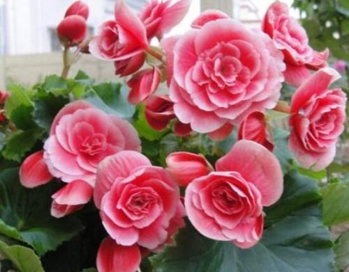 光照问题也要注意