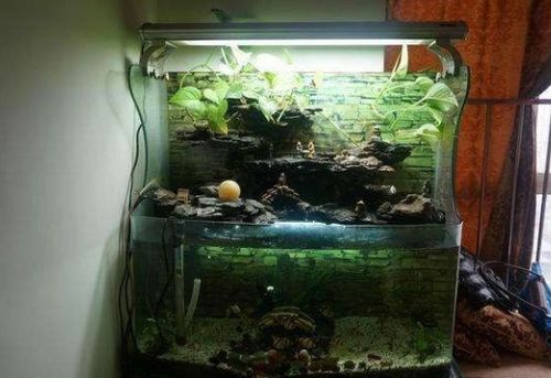 二、 味道散发的大致时长推测