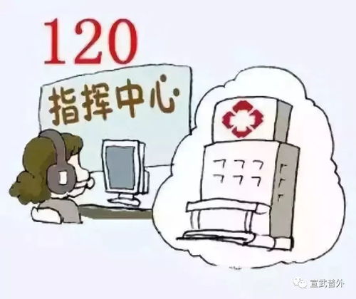 经过越冬的容器苗