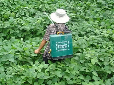 农药的登记与平安间隔期