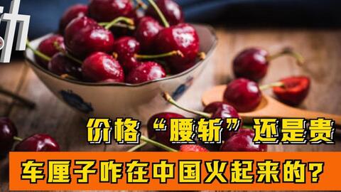 车厘子与大樱桃有何不同？哪个更美味