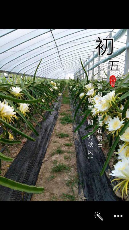 北方室外过冬的挑战与应对