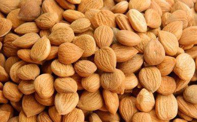 杏仁种子种植技巧， 你值得拥有