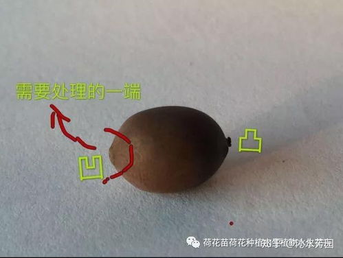 破口的方法