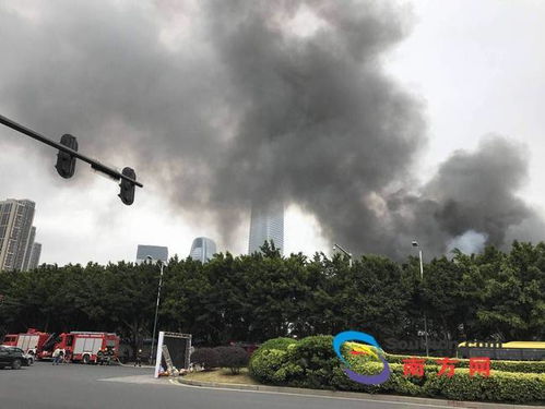 工业园区里的风波
