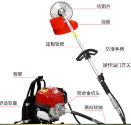 机油汽油，得选对