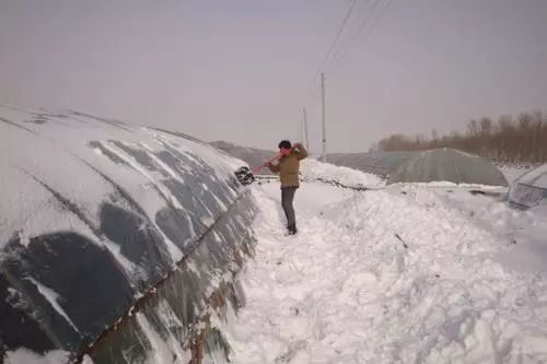 如遇风雪至， 管理要注重