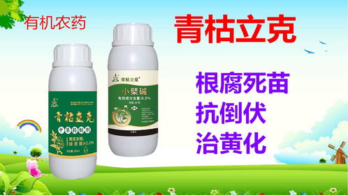 那80克百菌清兑一桶水，又是多少呢？