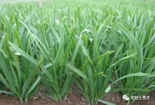 四、管理的要点