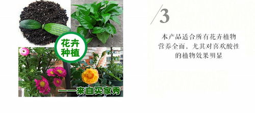种花时可以用哪种除草剂？花盆土和肥料应该如何混合？