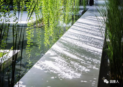 植物：结构与灵魂的关键