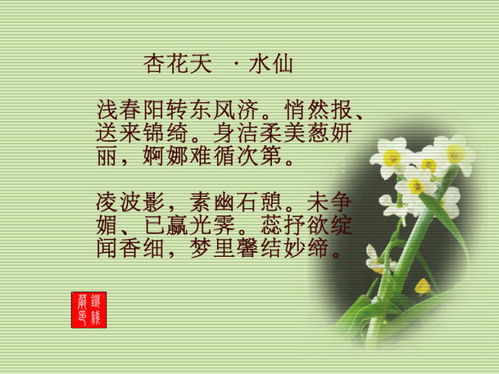 花朵低语：悲伤花语，心灵痛诉