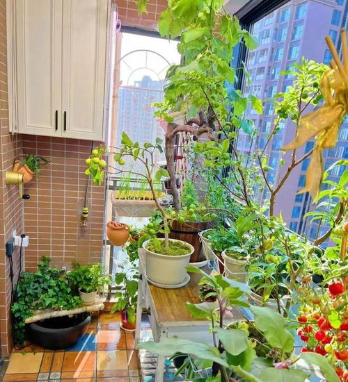 楼梯口适合种植哪些植物？请推荐15种适合在楼梯口种植的植物