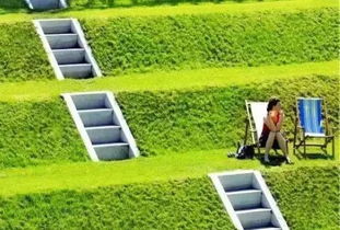 植物种植：选择合适， 种植要用心