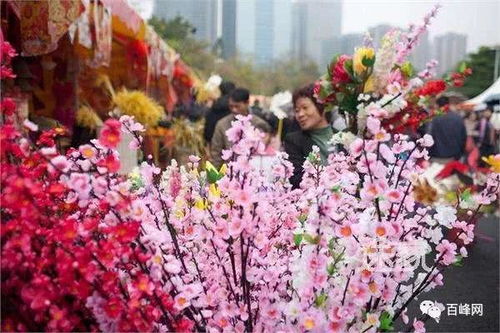 云南花卉参考网：云端花市的秘密花园