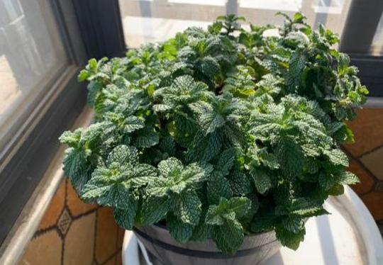 通风三要素，保护自己不中招