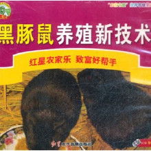 黑豚养殖管理技术，关注黑豚生长环境与饲养方法