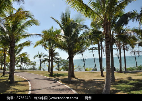 怎样判断适不适合本地种