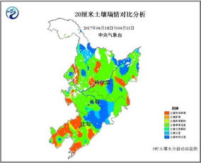金豆种子播种方法中，如何确保金豆种子在适宜的土壤和气候条件下成功发芽