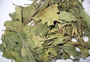 高氯甲维盐在柑橘园和茶园防治潜叶蛾时实测药害率降低70%，效果如何？