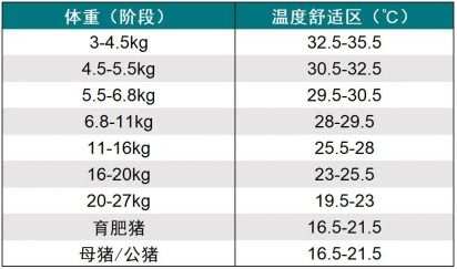 如何通过科学管理降低猪群在高温高湿环境下的热应激风险