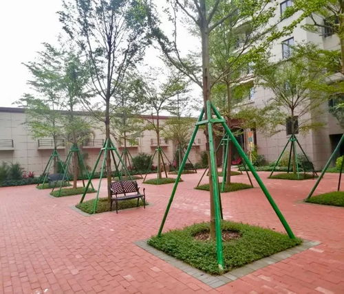 园林树木的多样统一之美