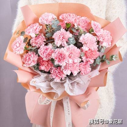 粉色康乃馨配什么花？浪漫组合美翻你的世界