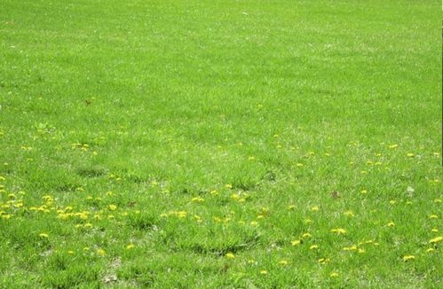 农药喷洒， 那些事儿