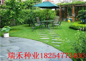 播种方法大揭秘