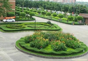 路边绿化价格大揭秘