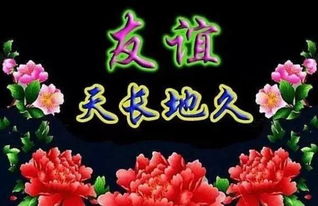 花开满地，好事否