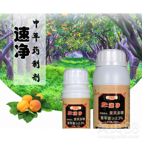 重楼灰霉病：那该死的病，怎么办呀？