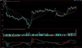 未来10天猪价走势如何？能否预测其涨跌趋势？
