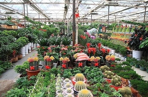 一、筛选优质平台的4个核心指标