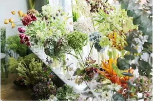 修剪塑造花卉树木造型技巧