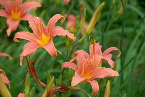 第二步：地点选择， 找个好地方给它安家