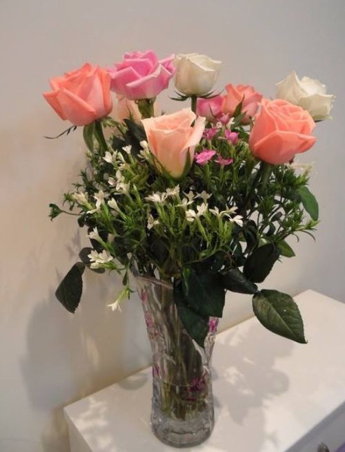 温度的魔法：鲜花成长的守护神