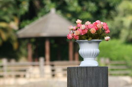 制作复古陶瓷花盆的乐趣