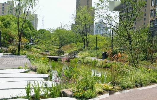 绿意盎然 生态共融——绿地设计中植物配置的奥秘