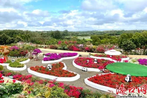 花王之谜：五雀花王的独特之处