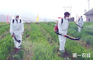 喷洒农药，姿势hen重要！
