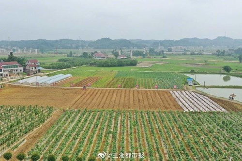 问题描述：如何利用乡村资源