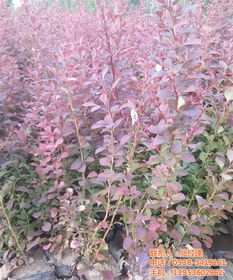 如何在网上找到有信誉的供应商