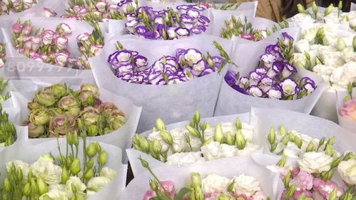 斗南花市康乃馨，如何包装成浪漫双礼