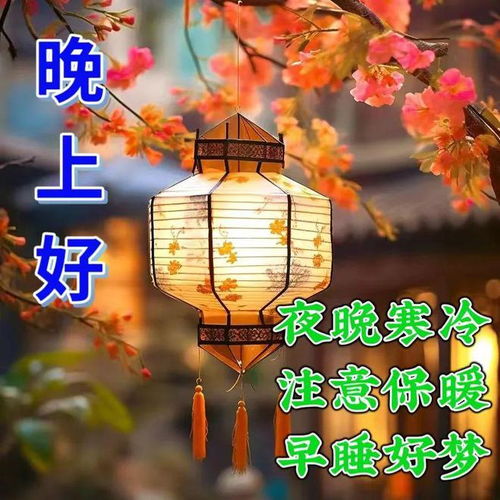 夜晚好梦植物大揭秘