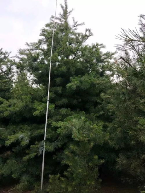 科学说 它有道理